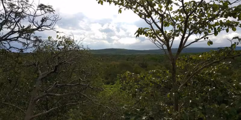 image 4ZGWQ4ICC5GOXCRUW6VURX5M7Q