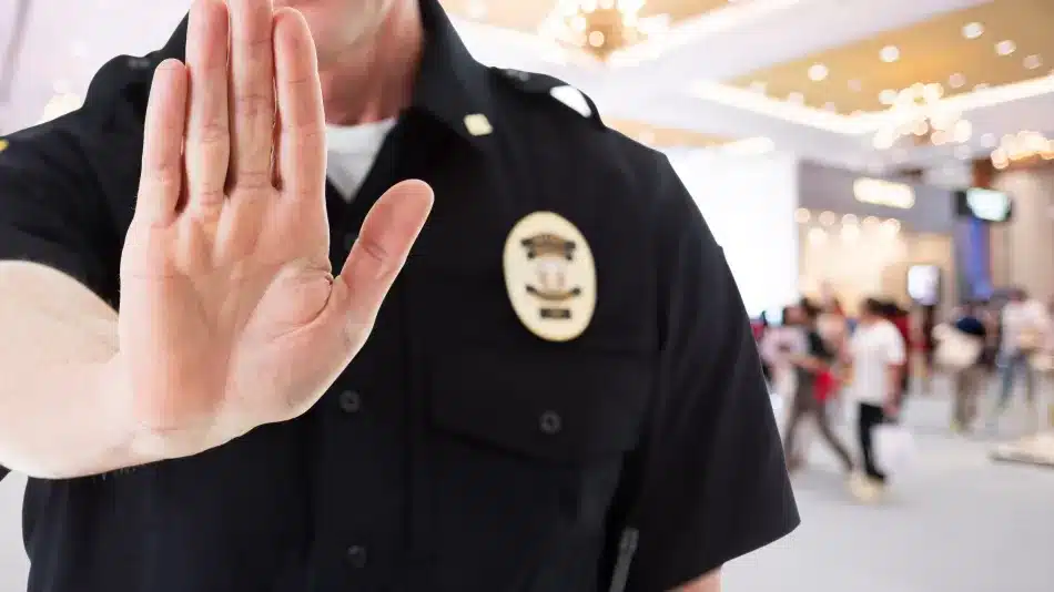 Multa récord: turista británico enfrenta una sanción de $231.000 por volar un dron en un festival en España image 6842fc6ea6830 screen and max