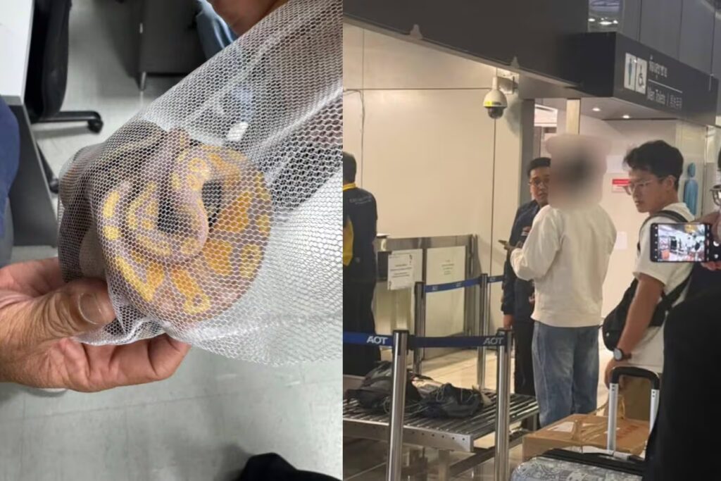 image AF5BLGX6TRCZBDINVBTFFCEWUM 1