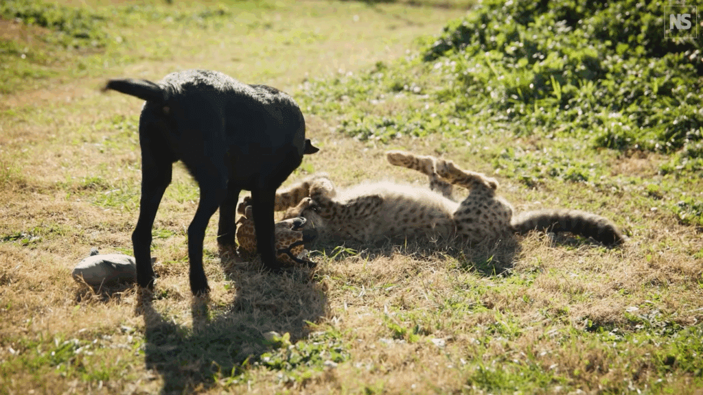 image AM7WZPGFZZH2FG5SJRYSZ4HKMQ