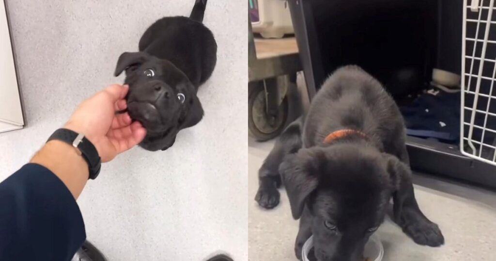 image CJBmE aW 1200x630 1