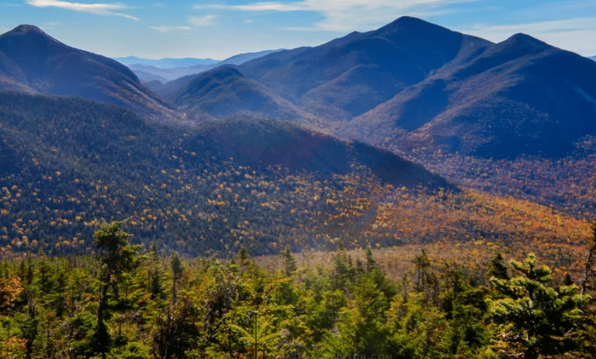 image Captura de pantalla 2025 08 10 125501 1