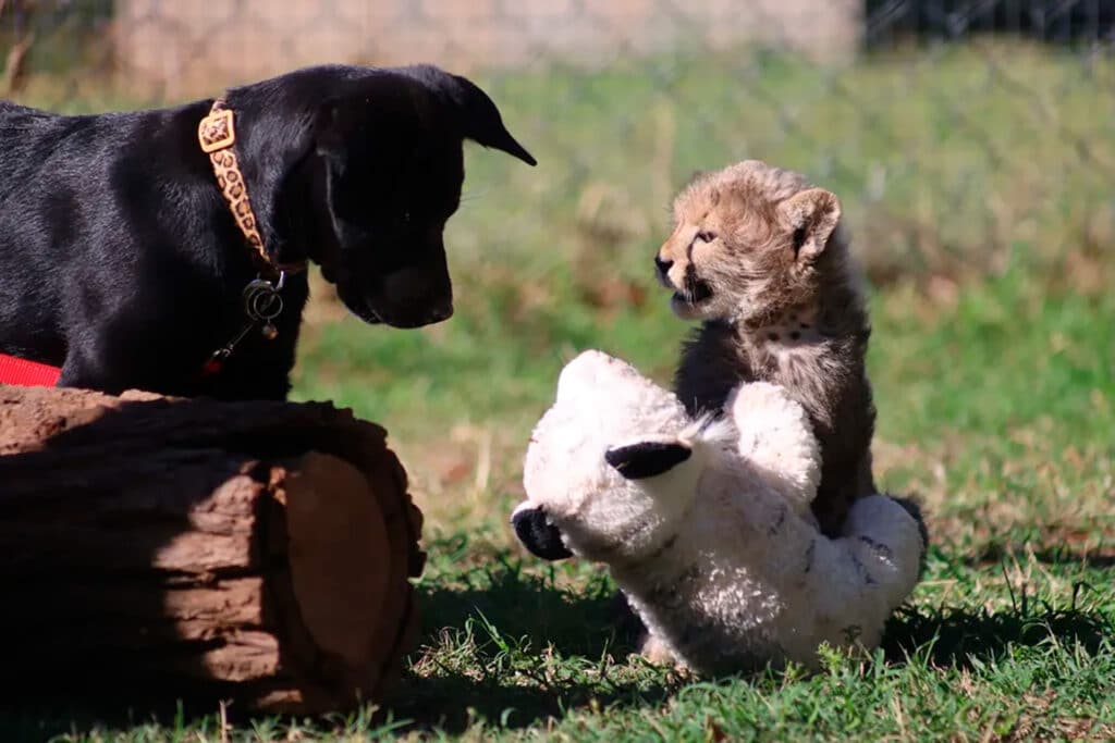 image IMX3WAKDURHUVFOU6XGWHQKBCY 1