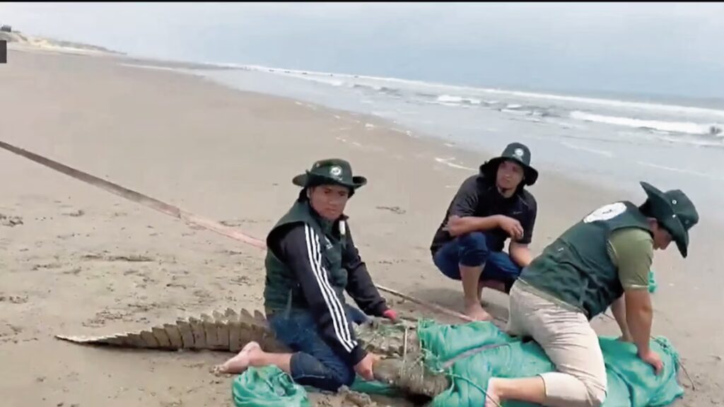 image K4GYK5AFUNF5NIHJ62HWA6SLQM