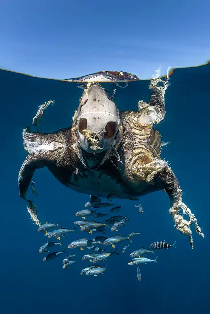 image c Henley Spiers 1