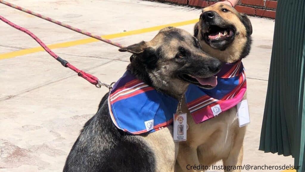 image credito instagram marvel entertainment marvel 2020 08 26t171730.812