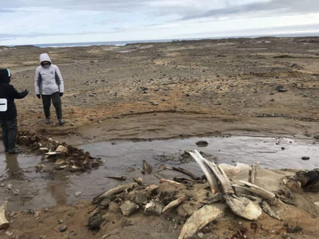 image f.elconfidencial.com original 46d 103 de6 46d103de616368202c935c783c24f00d 1