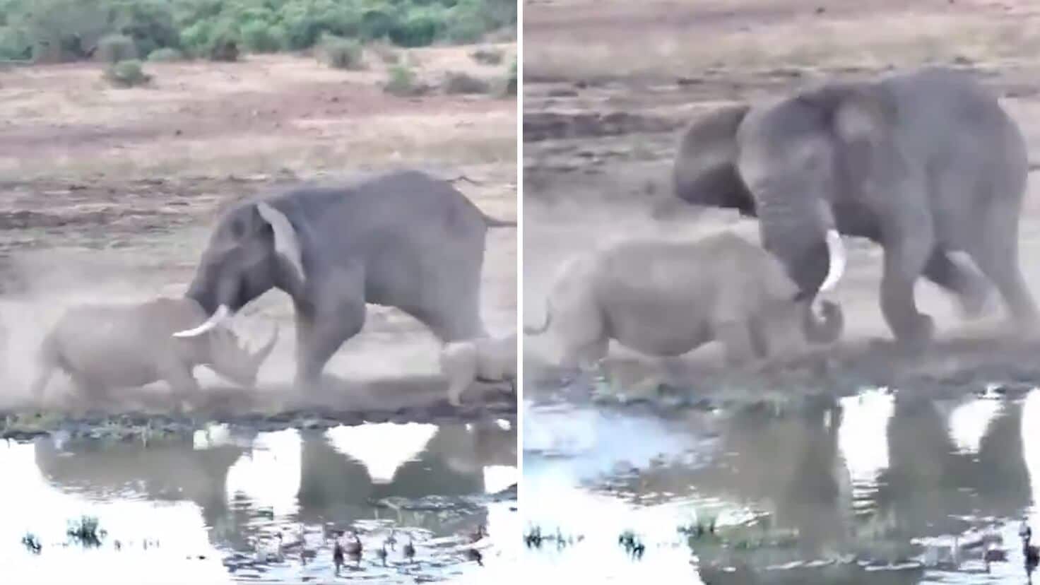 https___cloudfront-eu-central-1.images.arcpublishing.com_diarioas_MZDJPGPBI5ASVK5Y5KHPJ6BBQE