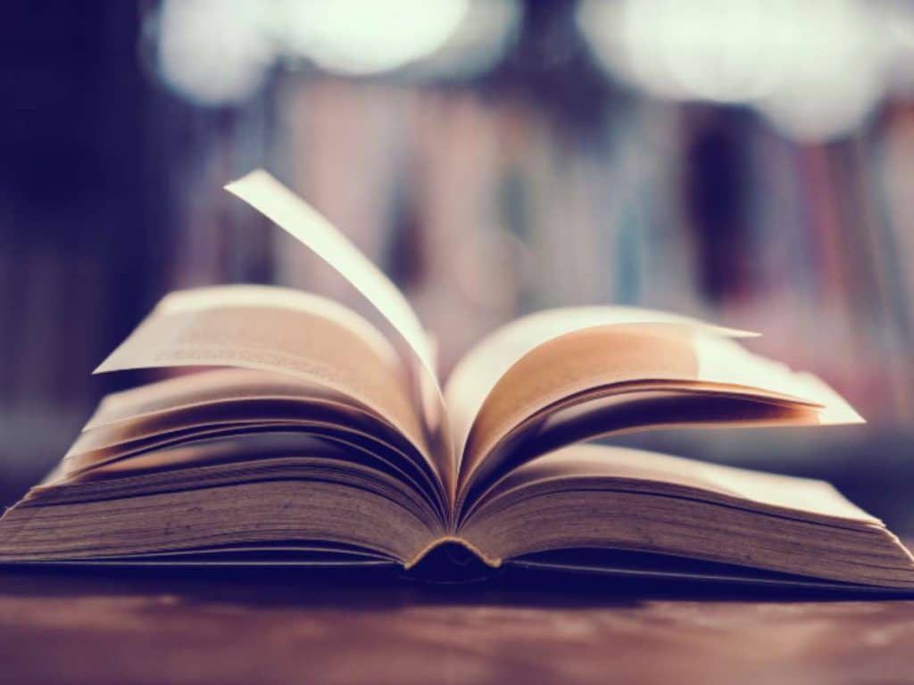 image internacional diccionario nuevas palabras 1024x768 2