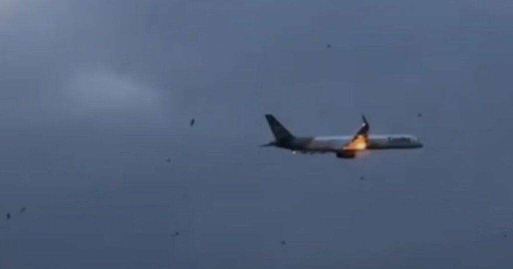 image m FPR90nk 1200x630 1 1