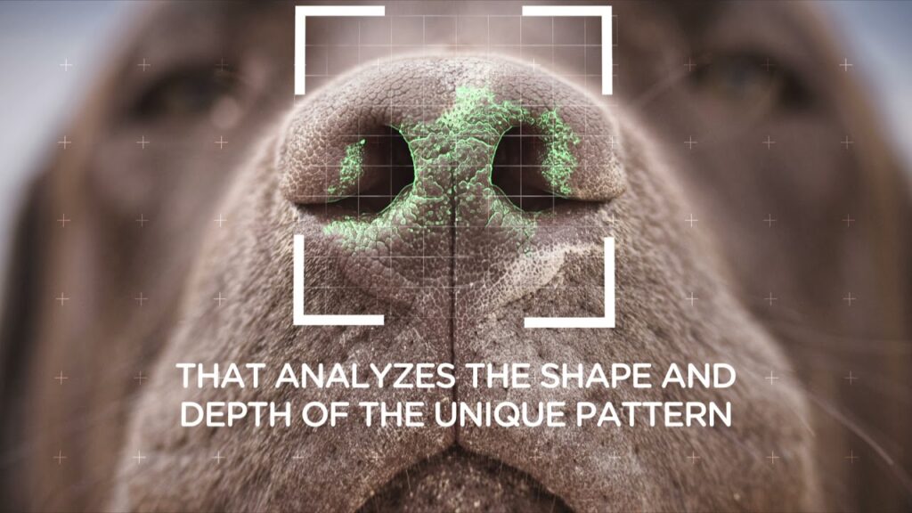 image maxresdefault 5 1