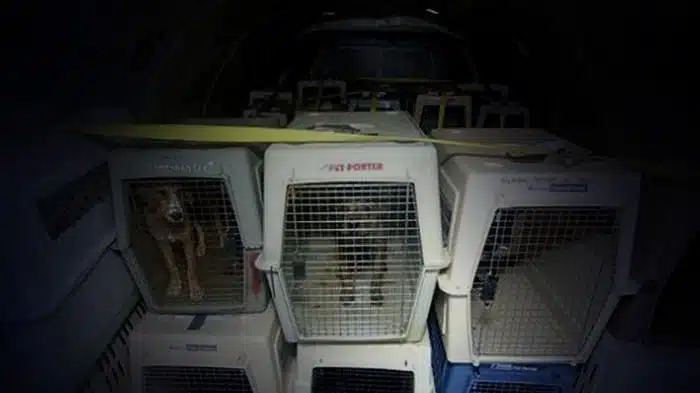 image nlWzNDCngiaDeGt 1600x900 noPad