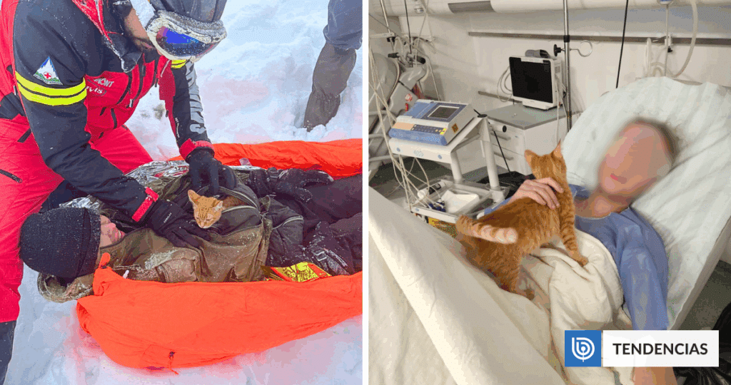 image social gatita salvo la vida de un hombre que huyo de la guerra de rusia y ucrania