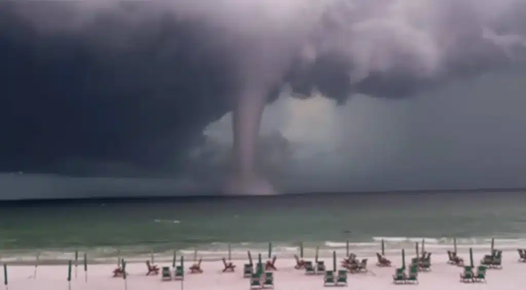 image tromba marina miamijpg 1