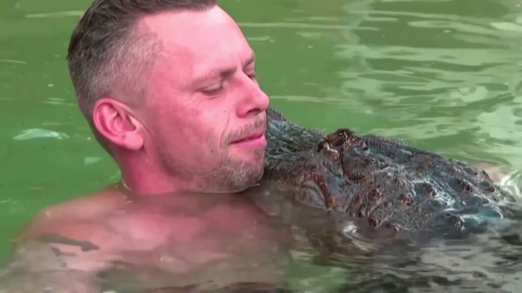 image video1483342864 00 00 11 07 still013 1