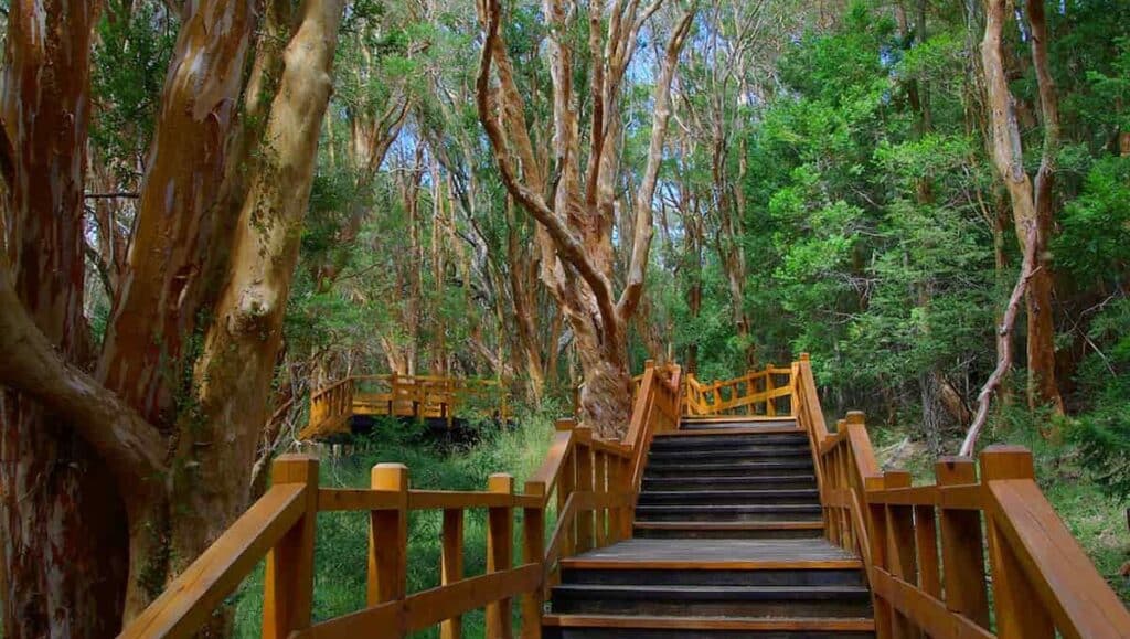 image 1 Portada 32 e1642637853838