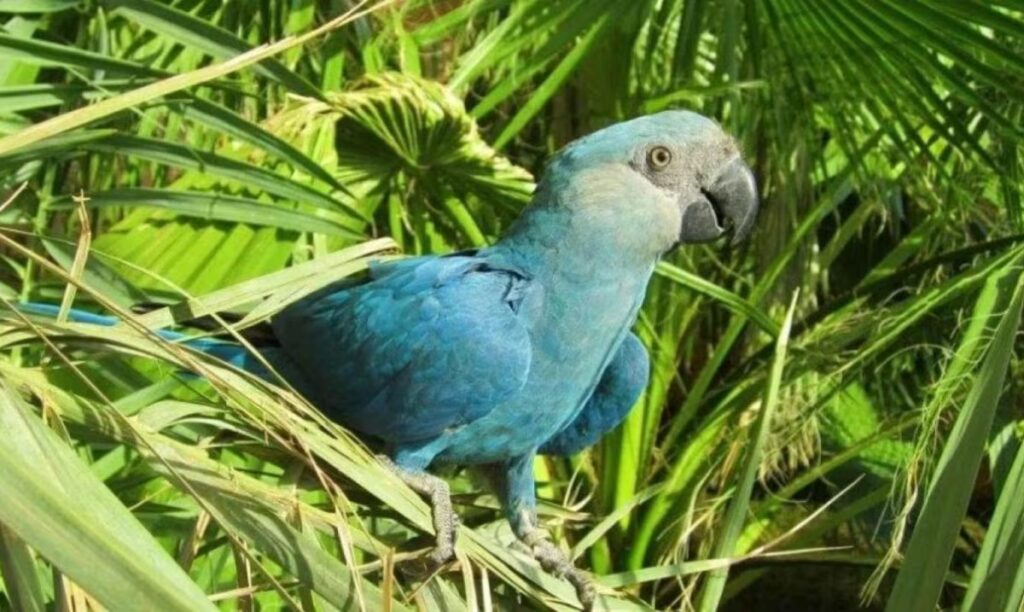 image 25ADRKAWQ5ADNCUXPCJL6H2MHU 1