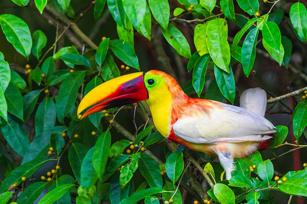 48821060042_54197f893a_b