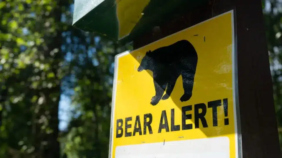 image 4e35effd7763693e702b546898caae32