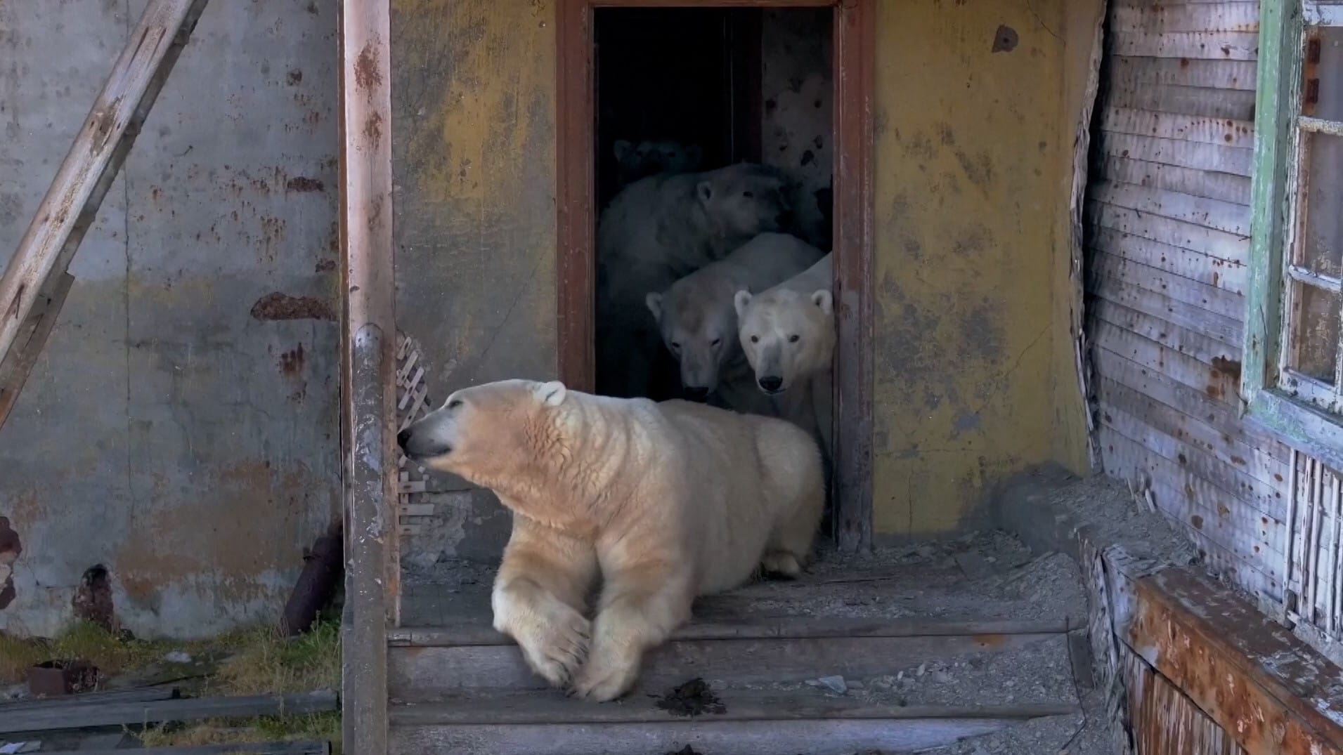 51038d97b2b247e5bf81e5853058f3f5