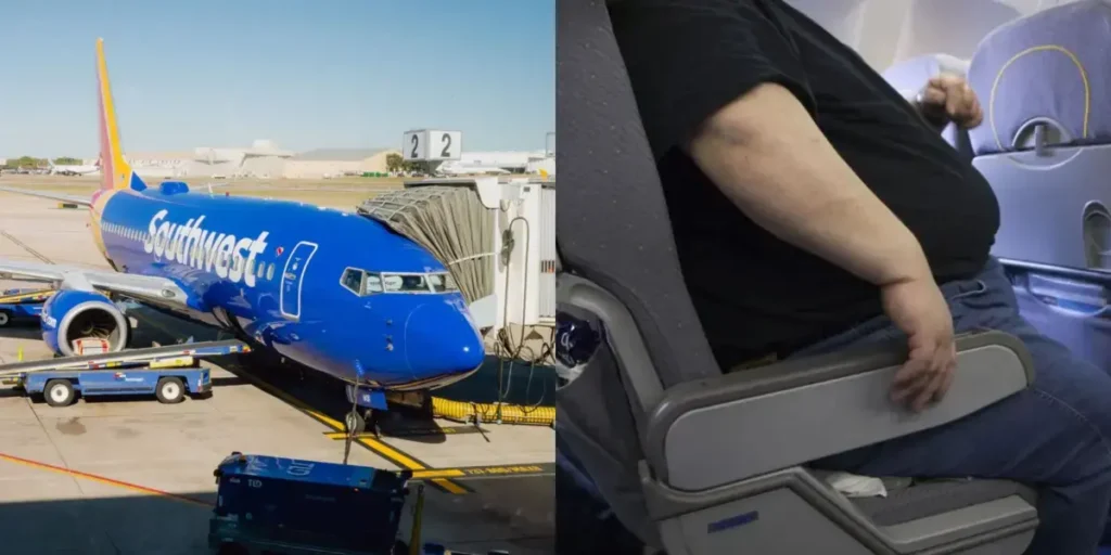 image 68ae72888e502.r d.960 540 0 1