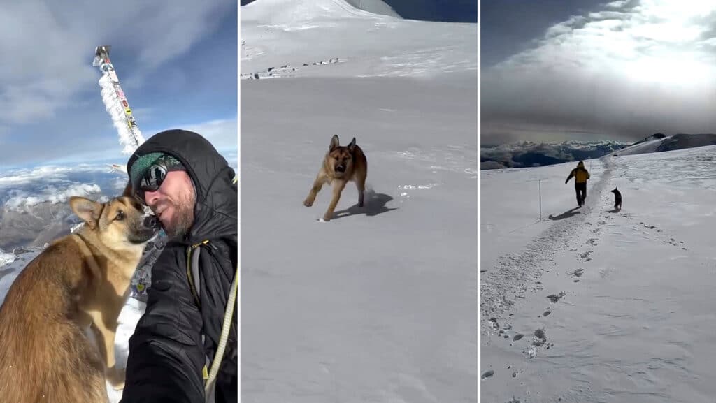 image 68bc167ce9ff71657b6f2670 1