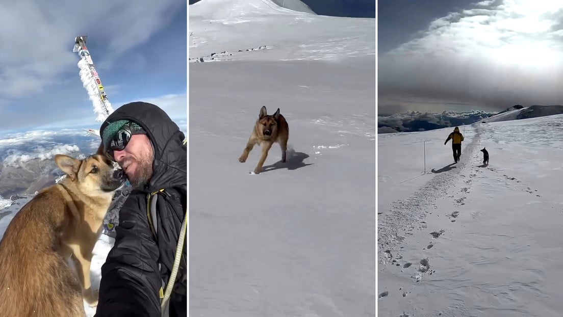 68bc167ce9ff71657b6f2670