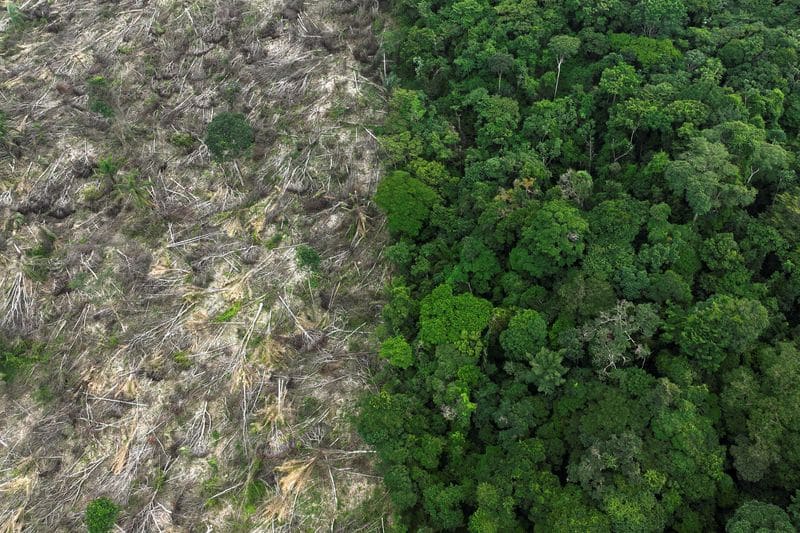 FILE PHOTO: An aerial view shows a deforested area during an operation to combat deforestation near Uruara, Para State, Brazil January 21, 2023. REUTERS/Ueslei Marcelino/File Photo