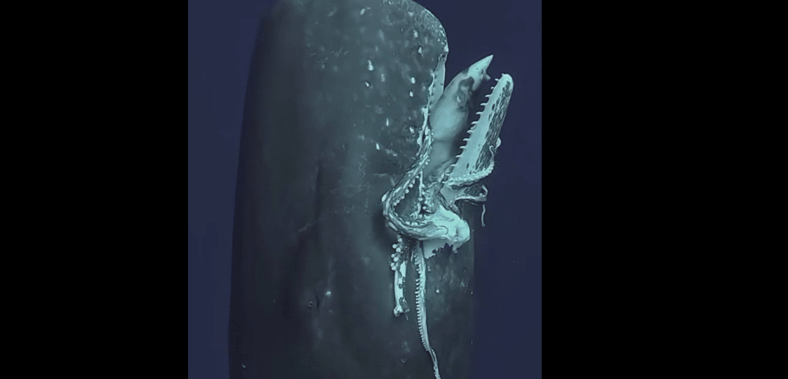 Captura de pantalla 2025-09-03 082915