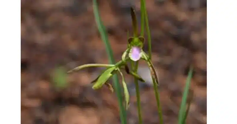 image Copia de CABECERA NUEVA DIMENSION 2025 07 23T130624.386 1