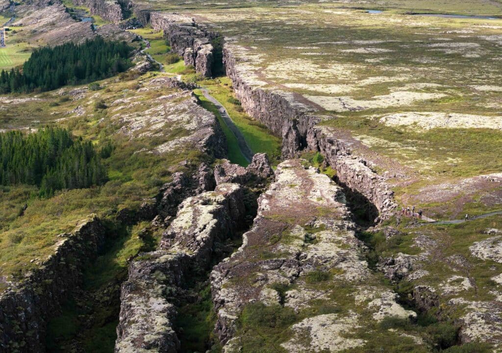 image DJI 20250829074403 0225 D