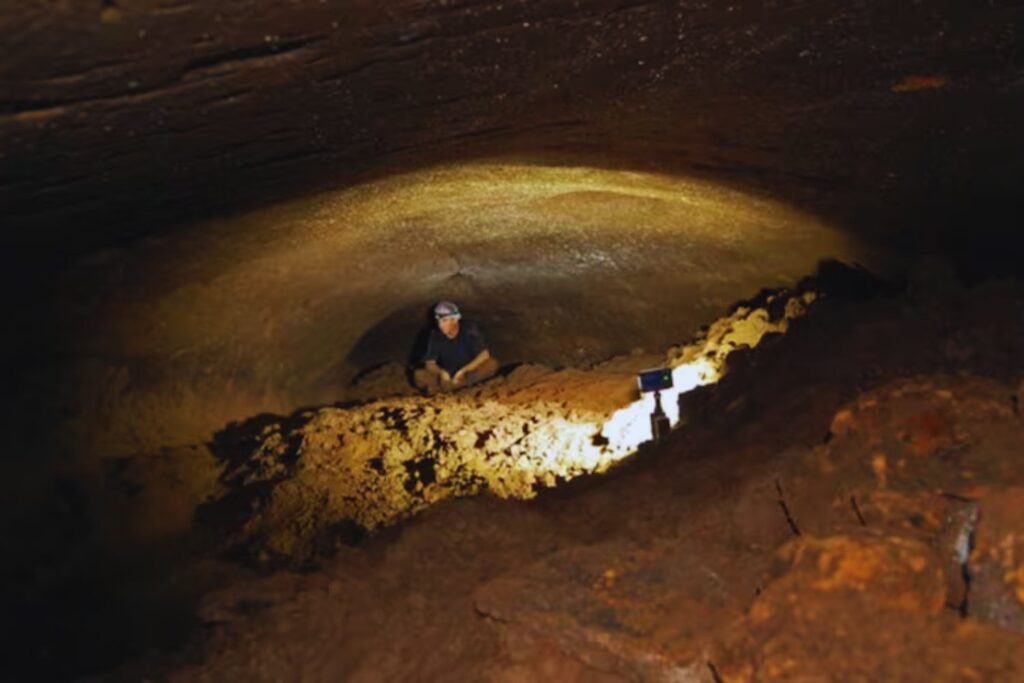 image Diseno sin titulo 1 15 1