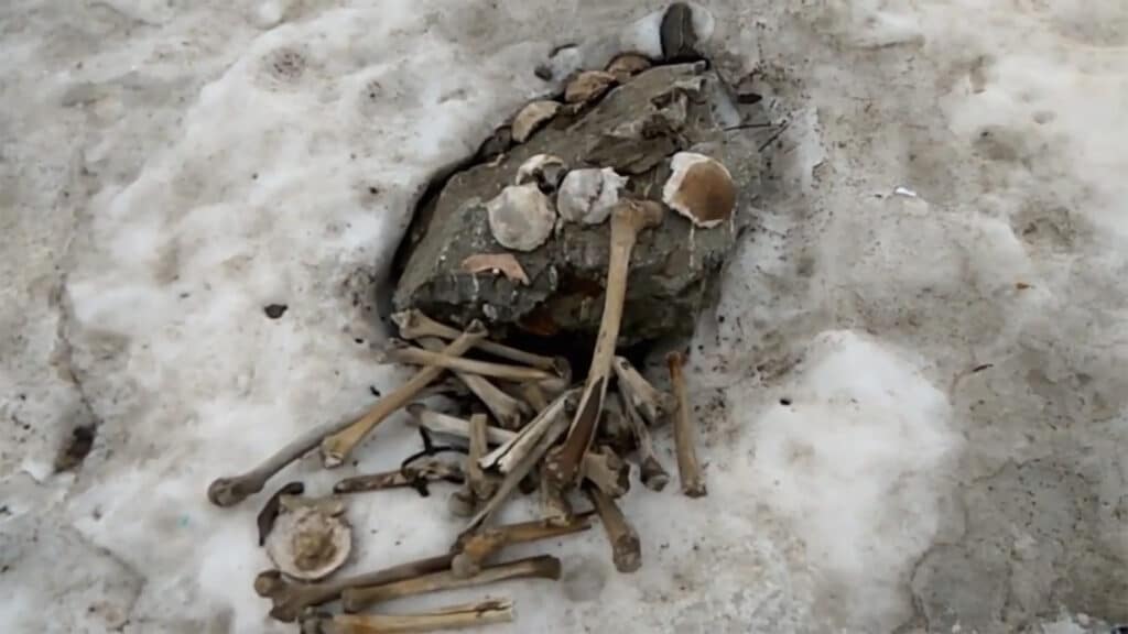 image PFHABUTHEFEQNOLULS24JMGCCQ