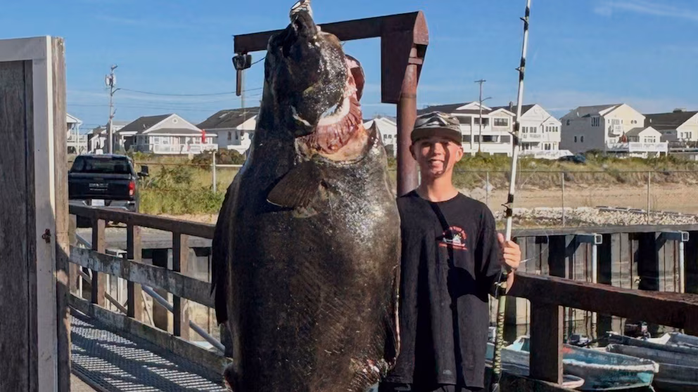 image VAZSGGVSTRCLLB7DHYTATCNXCY 1