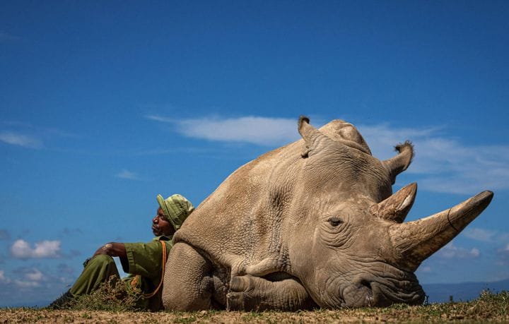 image WhatsApp Image 2023 03 15 at 13.16.54