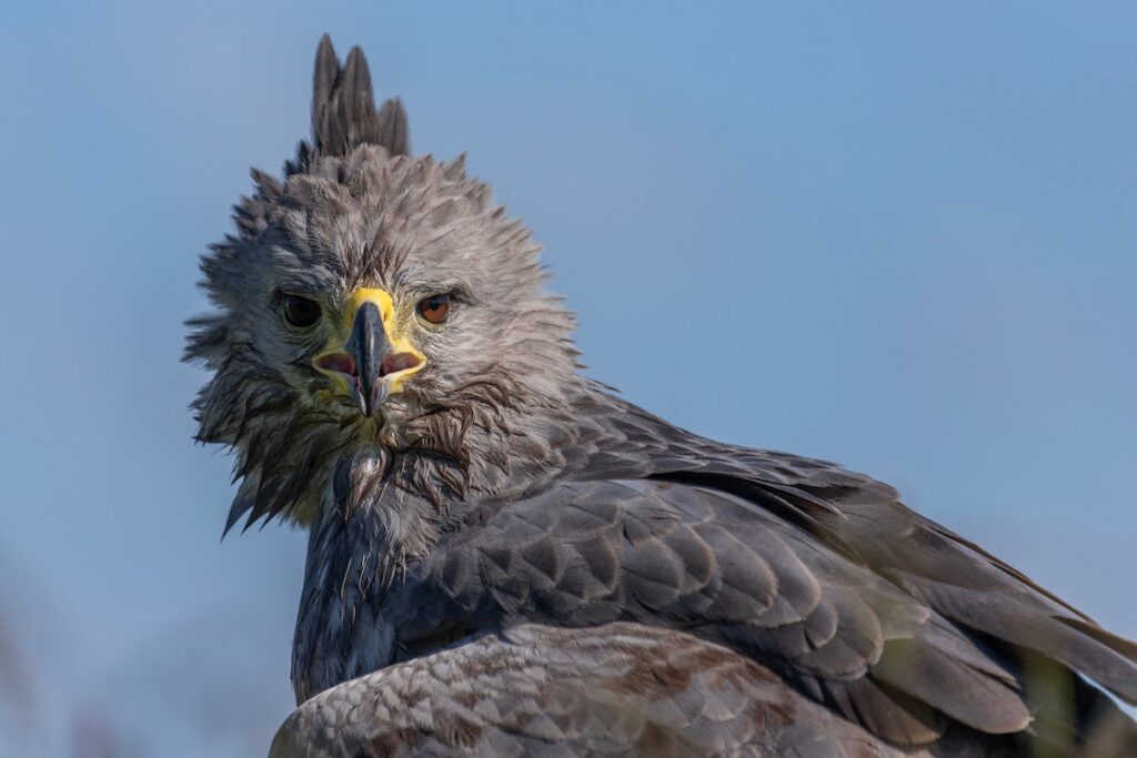 image WhatsApp Image 2025 08 26 at 18.06.38 1