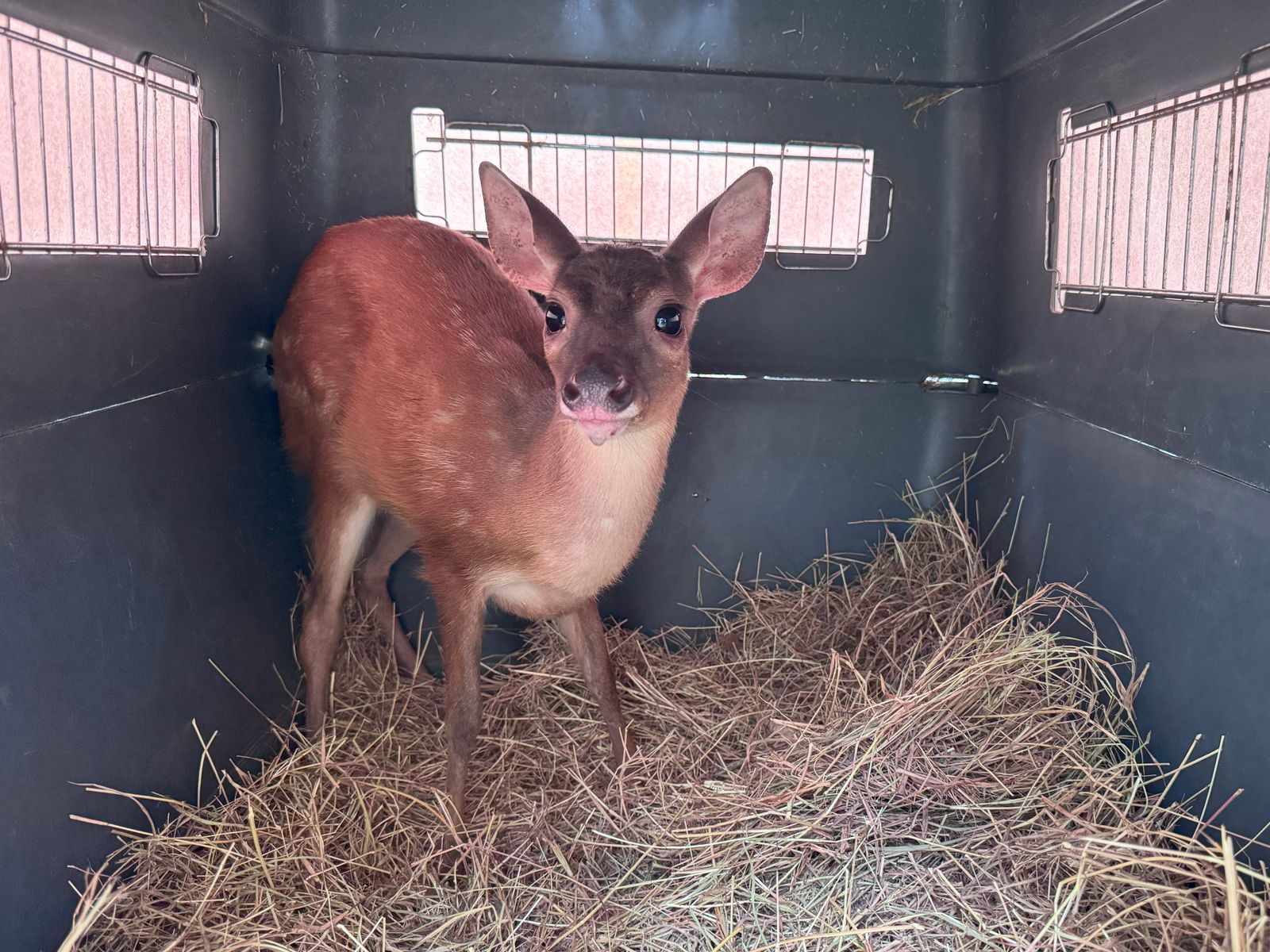 image WhatsApp Image 2025 09 04 at 6.00.01 AM