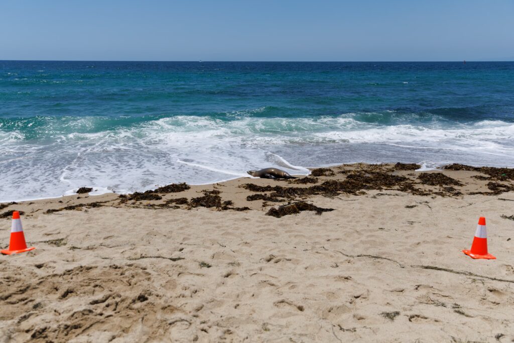 image ZKPELZWVWICGHPUZ3VKUR33YJM