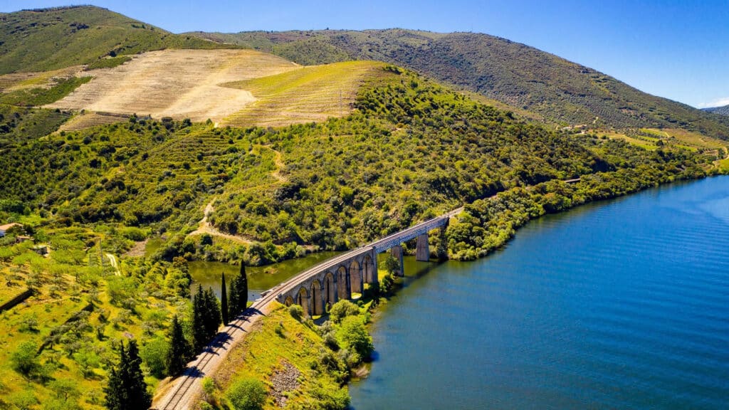 image d5d810b0 828c 4a5e be0b 92bcb7701c81 source aspect ratio default 0