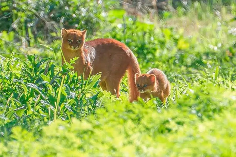 image e 1756942287 31431