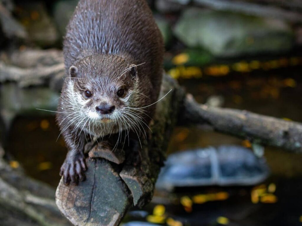 image f.elconfidencial.com original c18 c8f 8f7 c18c8f8f7ea7f067c2d3e1e293fdce1d