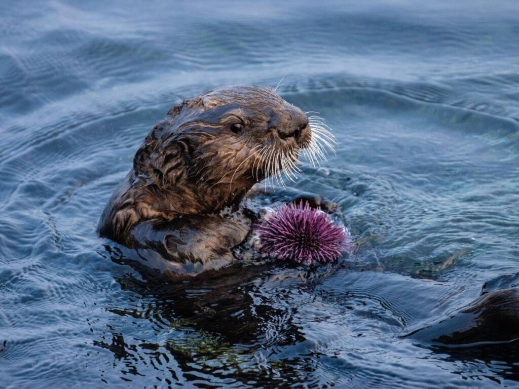 image f.elconfidencial.com original dcb 9de fc9 dcb9defc9fc6101f3f2d313f82221ad2 1