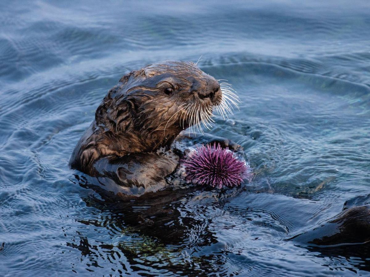 f.elconfidencial.com_original_dcb_9de_fc9_dcb9defc9fc6101f3f2d313f82221ad2