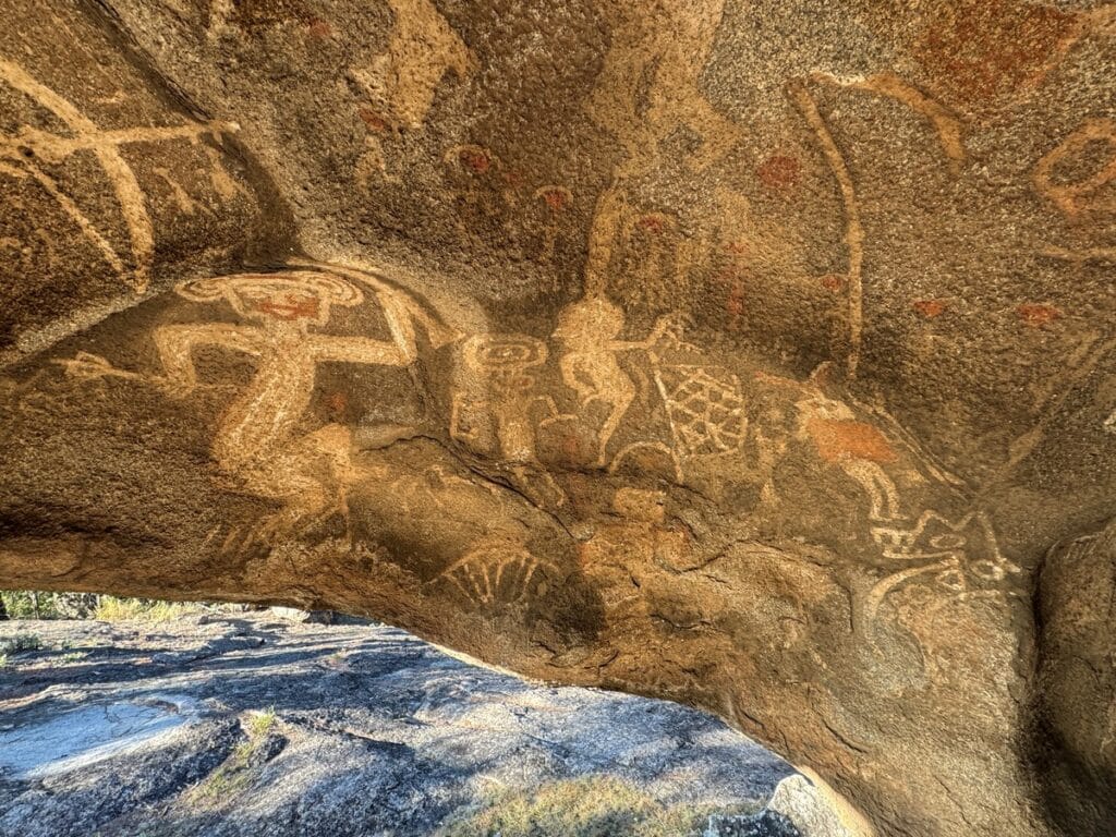 image hp6U1PHiO 1200x0 1