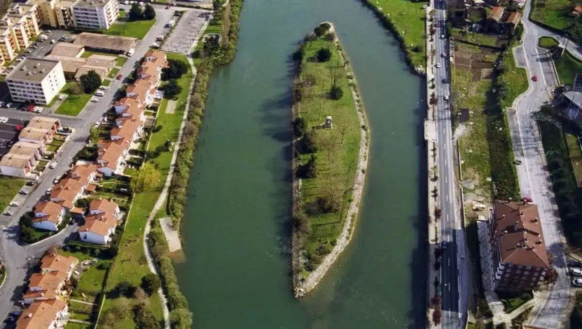 image isla los faisanes 2 2