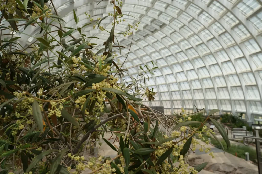 image oman botanical garden 5ee68617 250922153256 1200x800