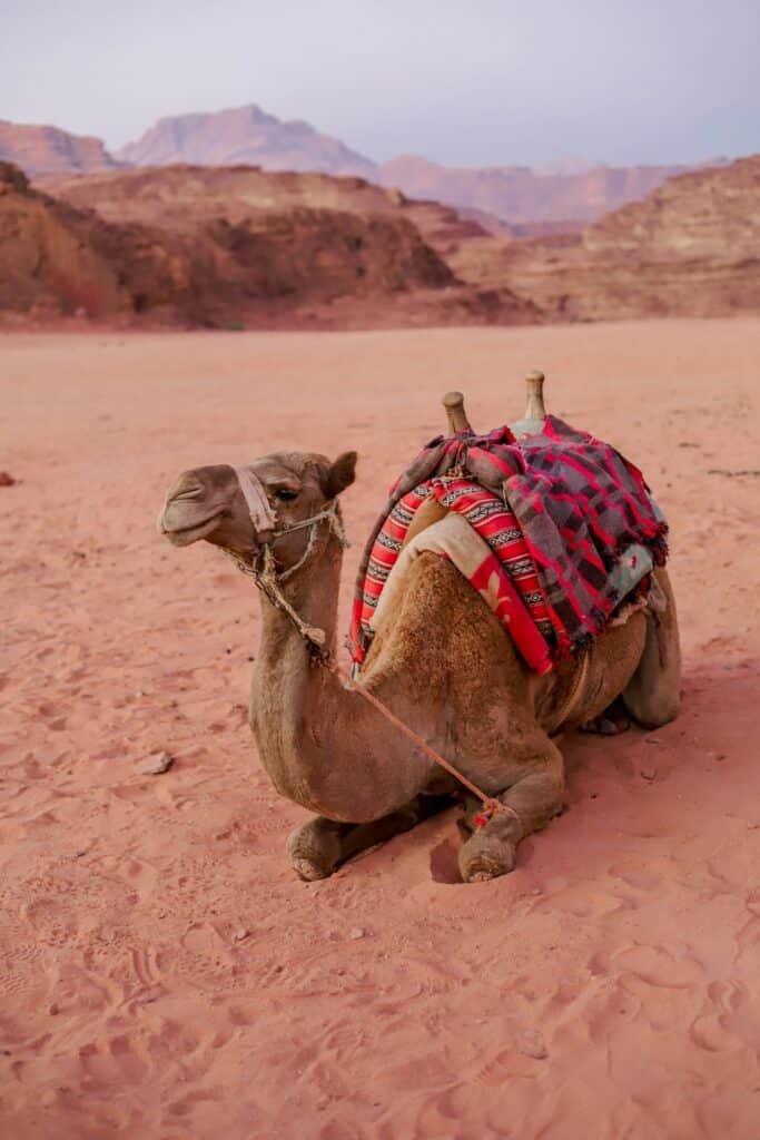 image photo 1673581209540 86fb1a4e51a7