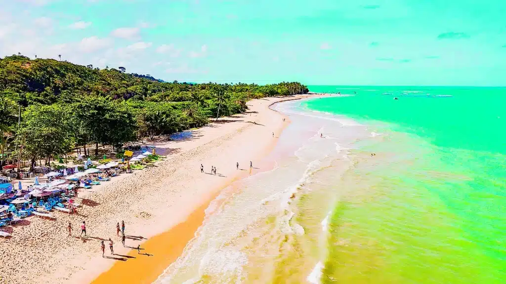 image 004 001 troncosojpg 1