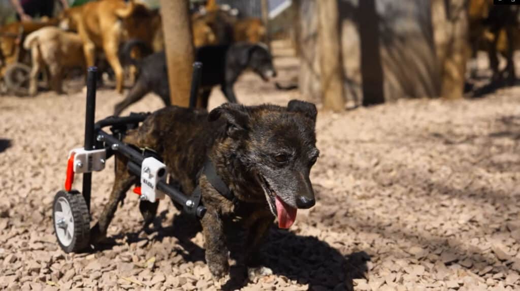 image 1 14 E0p1WG1758931859763 1758932147