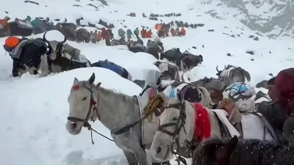 image 1536x864 cmsv2 a600b4ae 9f9f 52d2 8dfd a1a61888ddac 9501238 1